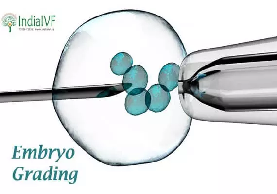 Embryo Grading