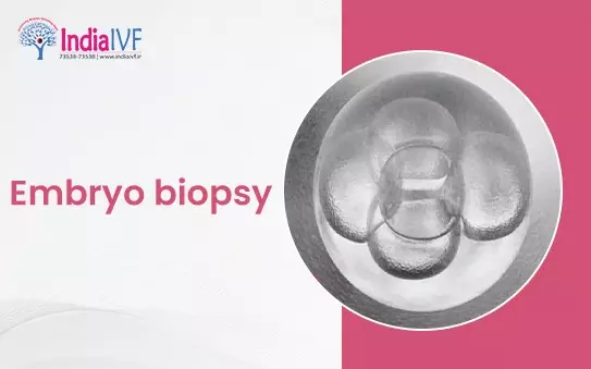 Embryo biopsy