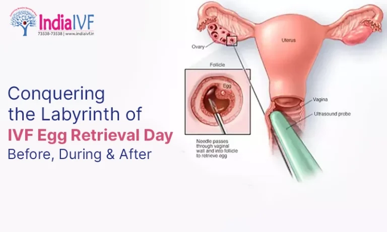 Conquering the Labyrinth of IVF Egg Retrieval Day Before, During & After