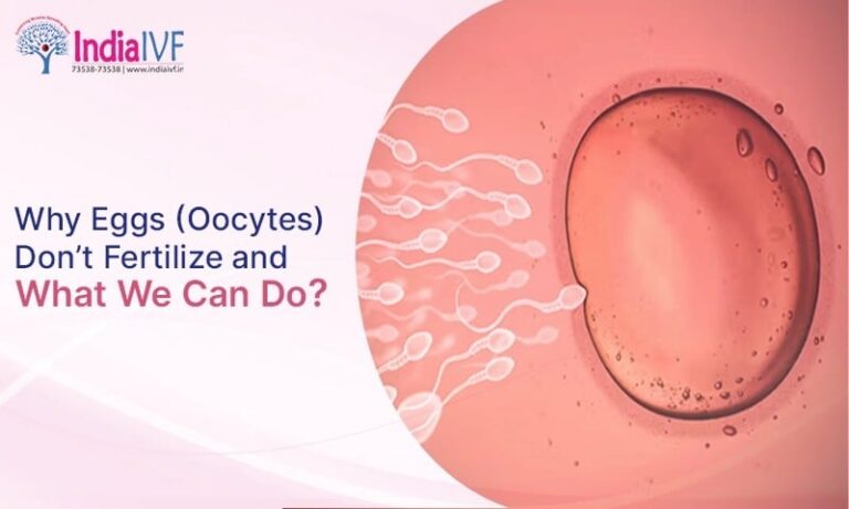 Why Eggs (Oocytes) Don’t Fertilize and What We Can Do