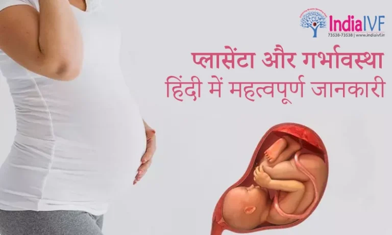 प्लासेंटा और गर्भावस्था हिंदी में महत्वपूर्ण जानकारी