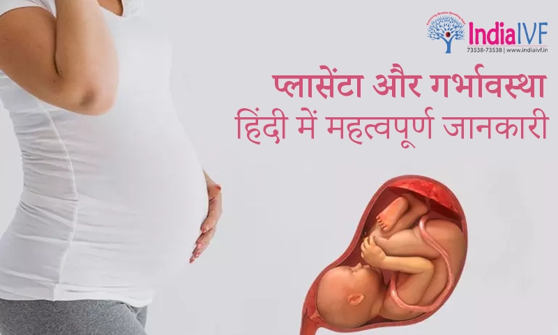 प्लासेंटा और गर्भावस्था हिंदी में महत्वपूर्ण जानकारी