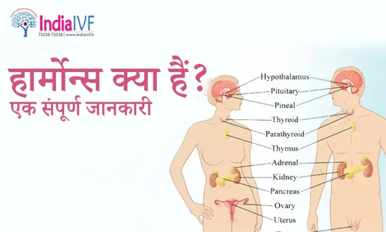 हार्मोन्स क्या हैं एक संपूर्ण जानकारी