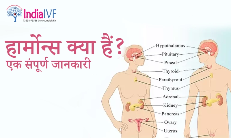 हार्मोन्स क्या हैं एक संपूर्ण जानकारी