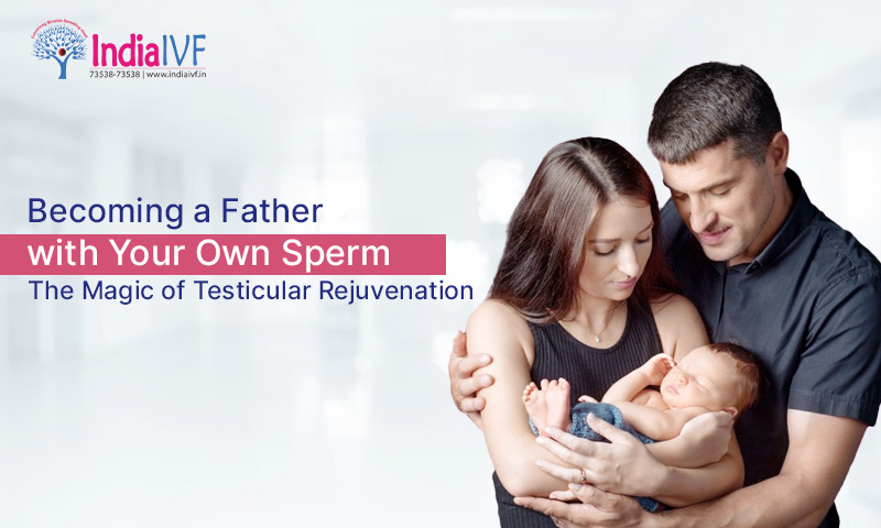 Becoming a Father with Your Own Sperms The Magic of Testicular Rejuvenation