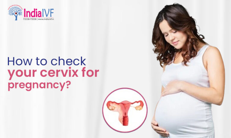 Cervix An In-Depth Understanding (सर्विक्स एक अध्ययन और समझ)