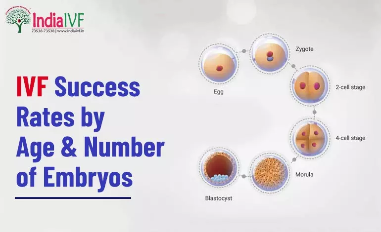 IVF Success Rates by Age & Number of Embryos | India IVF Fertility
