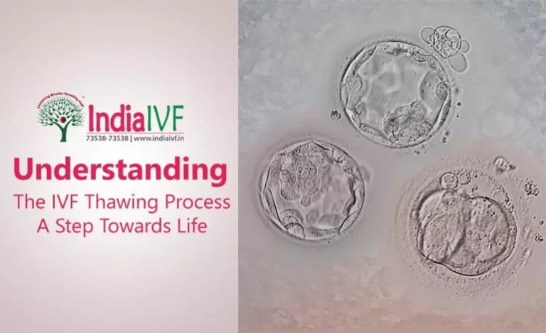 Understanding-the-Antral-Follicle-Count