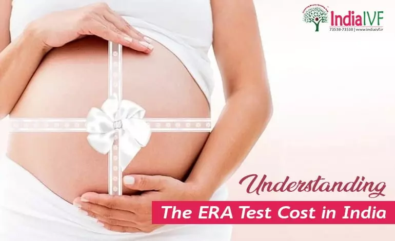 Understanding-the-ERA-Test-Cost-in-India