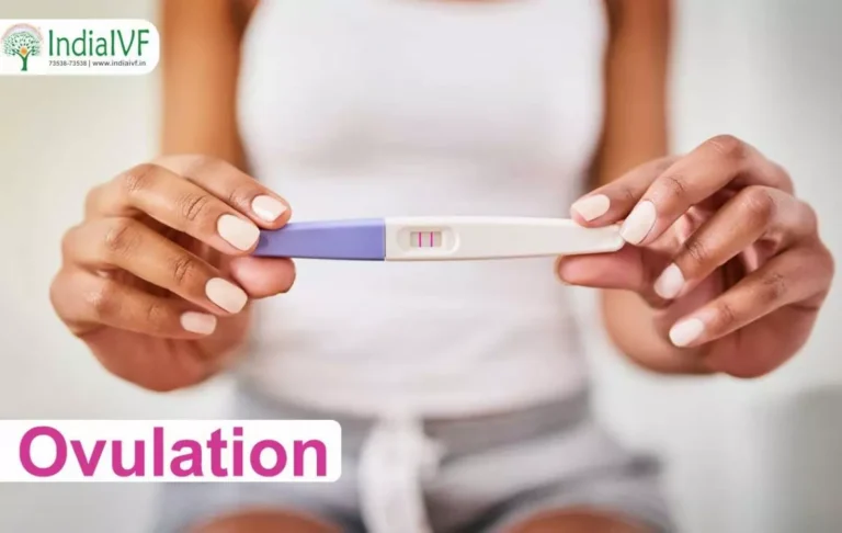 What-is-ovulation