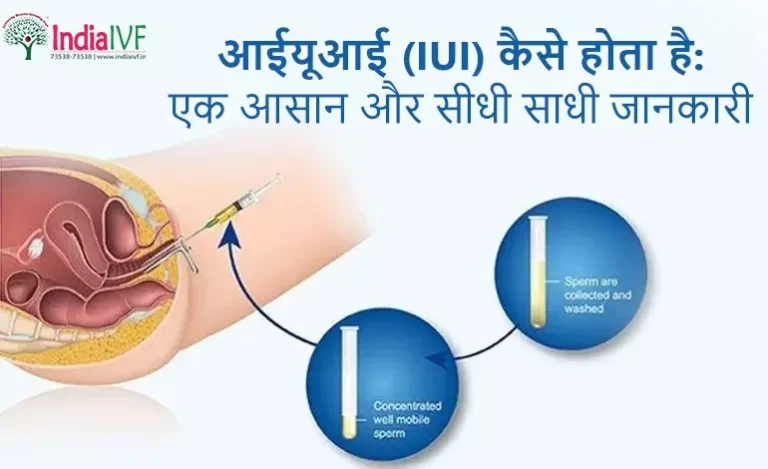 आईयूआई (IUI) कैसे होता है: एक आसान और सीधी साधी जानकारी