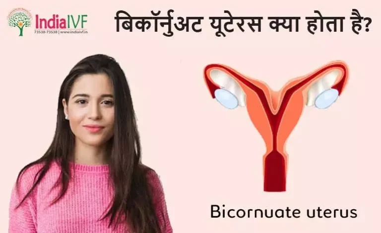 बिकॉर्नुअट-यूटेरस