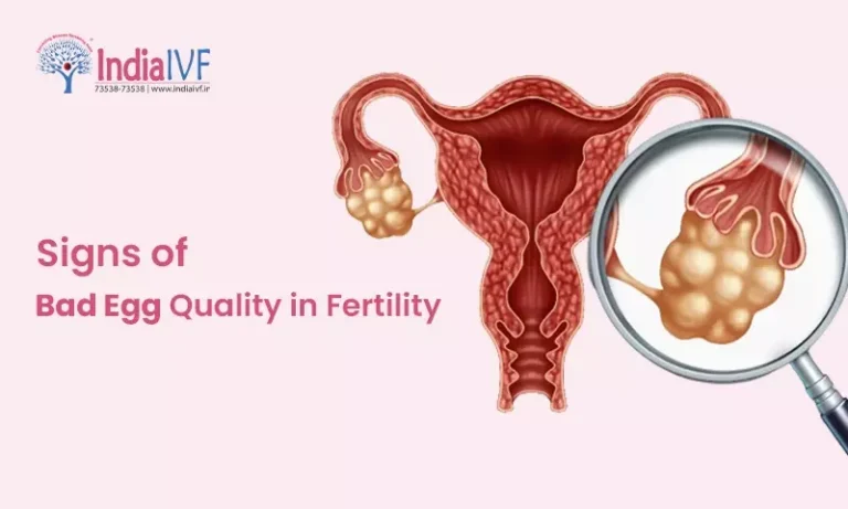 Signs of Bad Egg Quality in Fertility