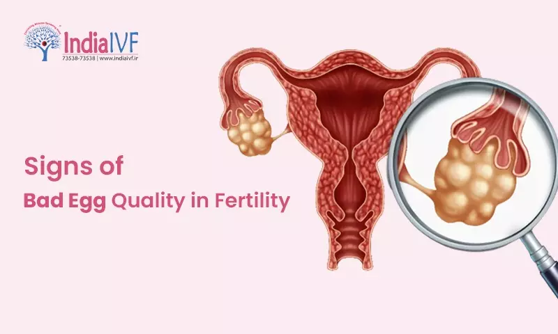 Signs of Bad Egg Quality in Fertility