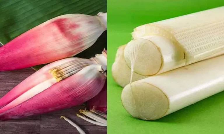 गर्भावस्था में केले की तना