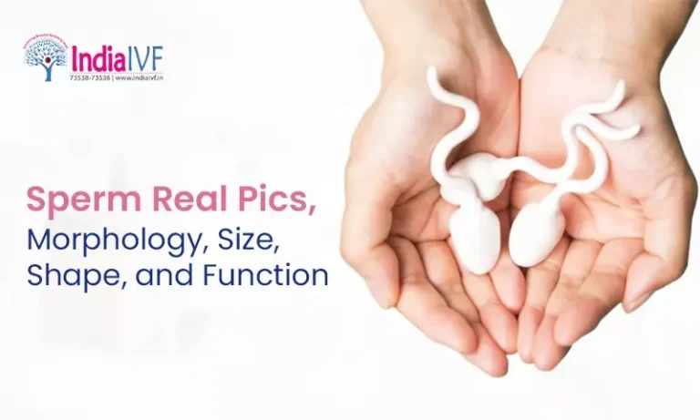 Sperm Real Pics