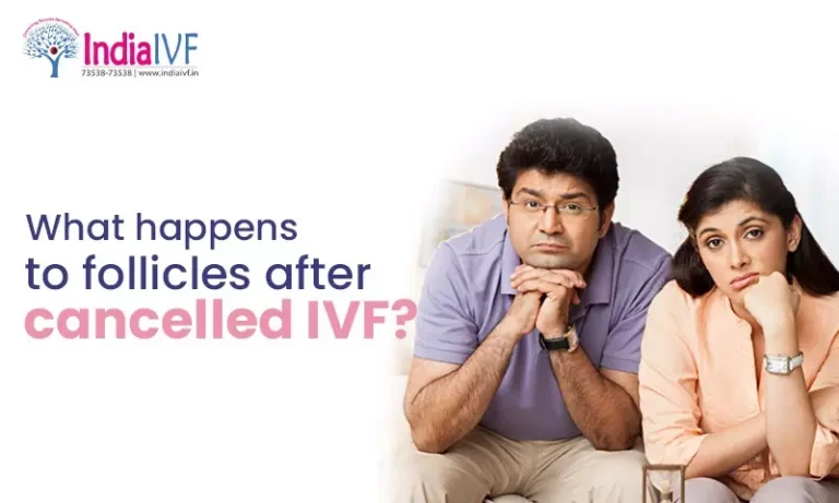 What happens to follicles after cancelled IVF