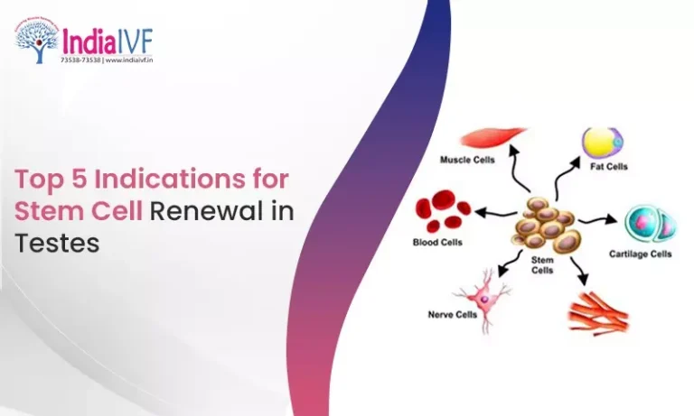 5 Indications for Stem Cell Renewal