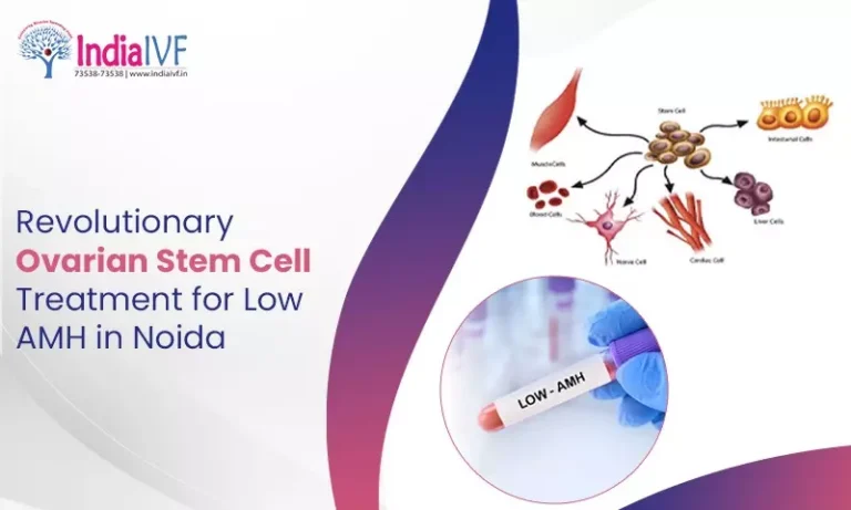 Ovarian Stem Cell Treatment for Low AMH in Noida