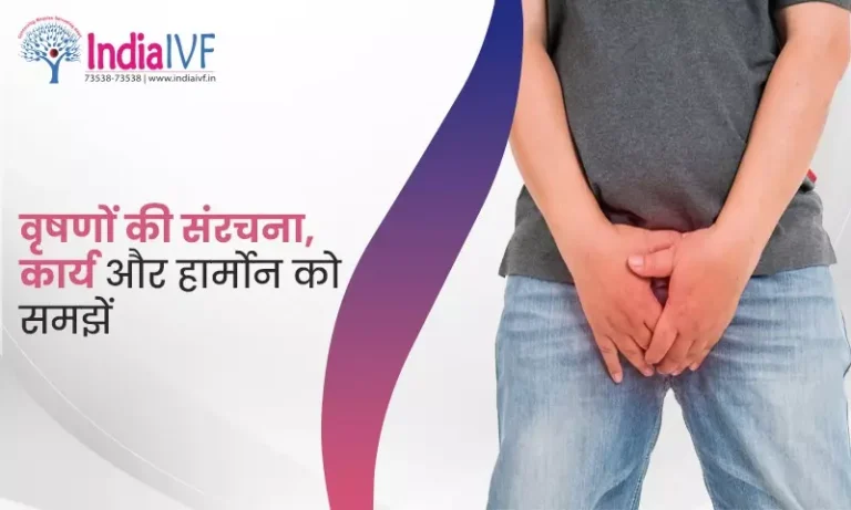 वृषणों की संरचना