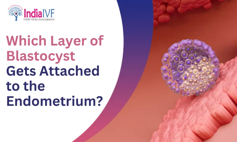 Blastocyst Gets