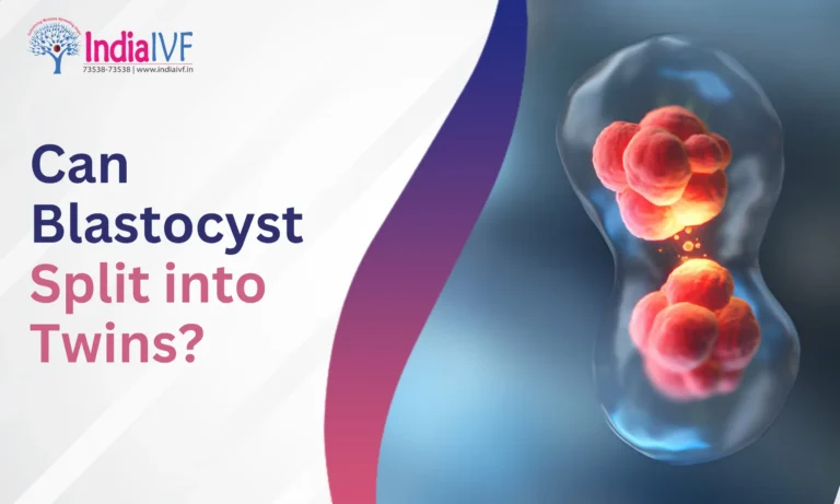 Can Blastocyst Split into Twins