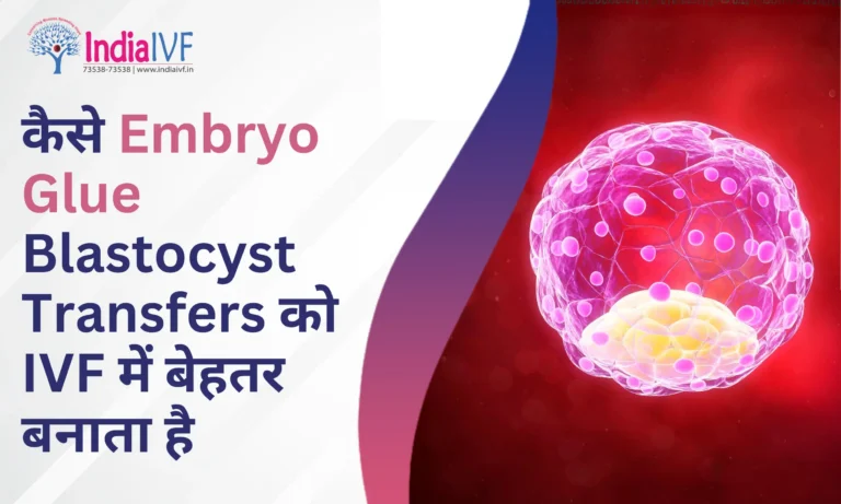 Embryo Glue Blastocyst Transfers