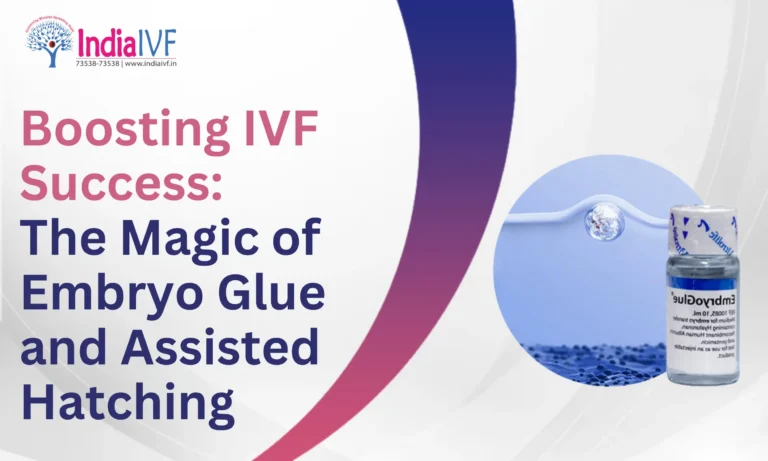 Embryo Glue and Assisted Hatching