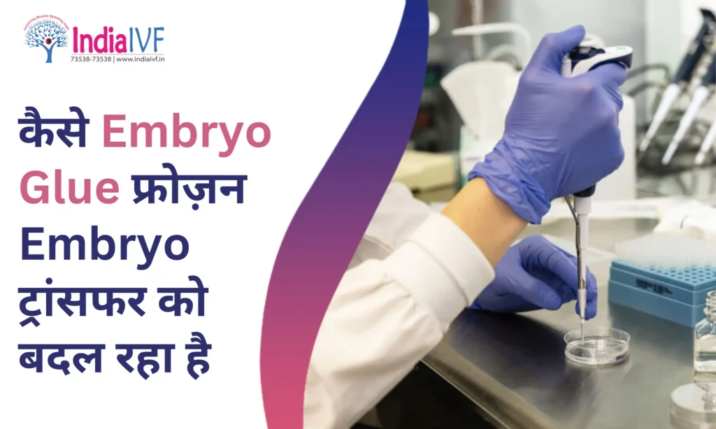 Embryo Glue फ्रोज़न Embryo ट्रांसफर