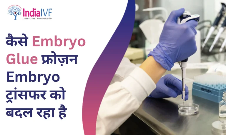 Embryo Glue फ्रोज़न Embryo ट्रांसफर