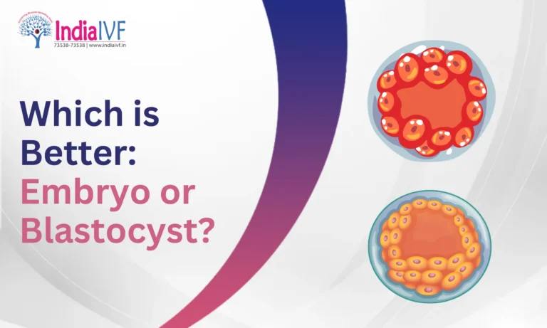 Embryo or Blastocyst