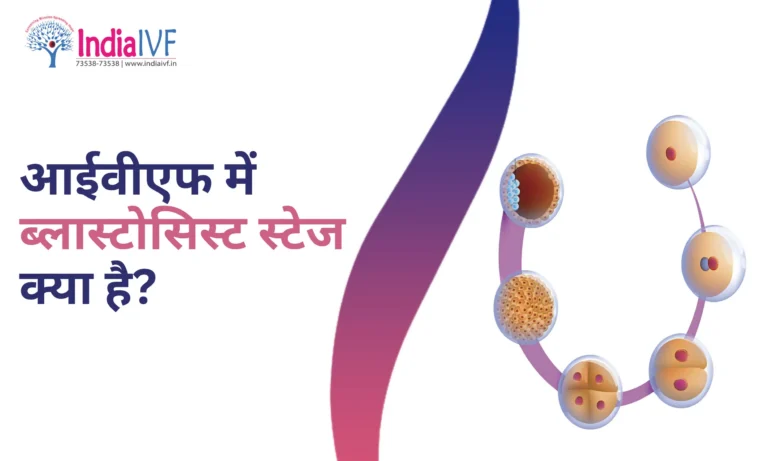 आईवीएफ में ब्लास्टोसिस्ट स्टेज क्या है