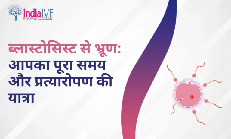 ब्लास्टोसिस्ट से भ्रूण