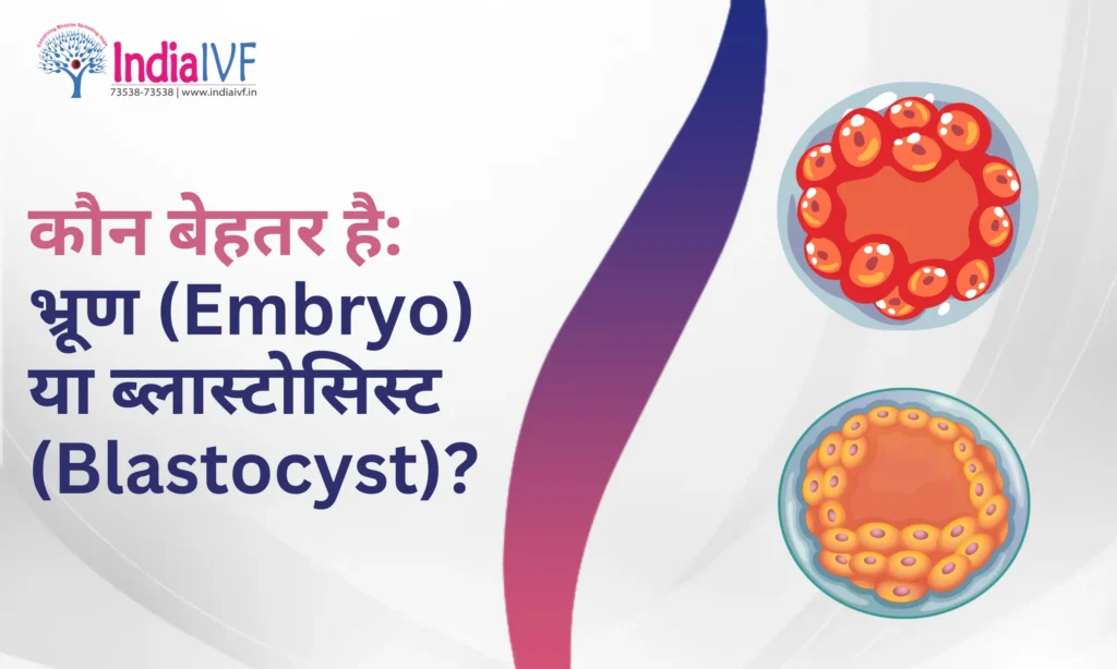 भ्रूण (Embryo) या ब्लास्टोसिस्ट (Blastocyst)