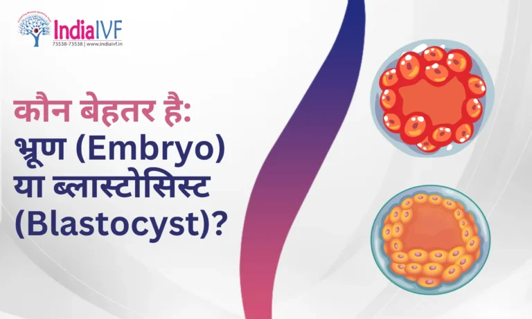 भ्रूण (Embryo) या ब्लास्टोसिस्ट (Blastocyst)