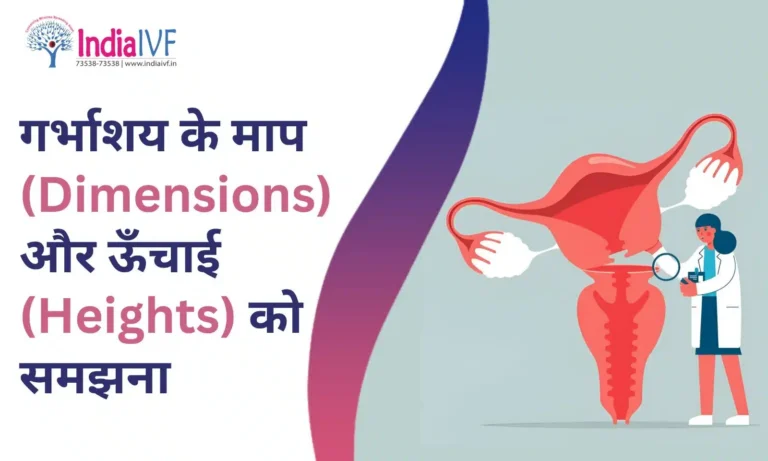 गर्भाशय के माप