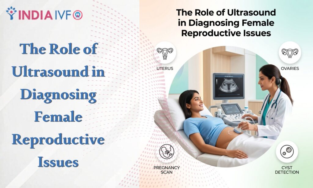 pelvic ultrasound