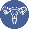 Improves Embryo–Endometrium Interaction