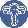 Supports Uterine Lining Receptivity