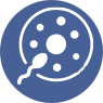 Blocked Fallopian Tubes