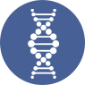 High Sperm DNA Fragmentation