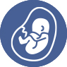 Poor Embryo Development History