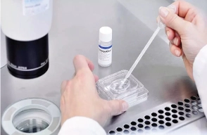 Embryo Glue