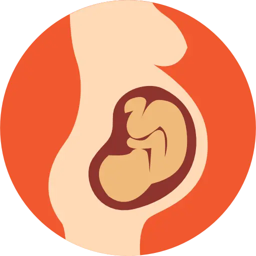 Successful Pregnancy