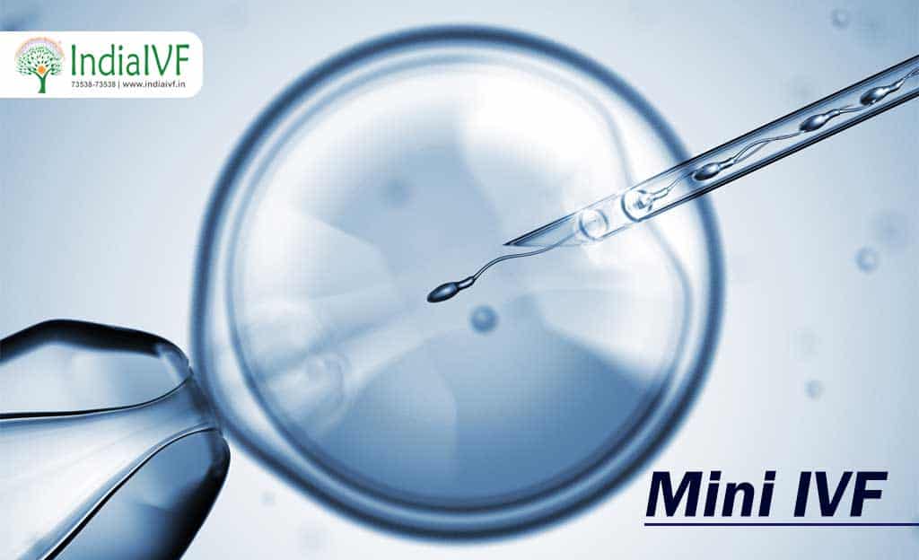 About Mini IVF Procedure and Micro IVF Success Rates