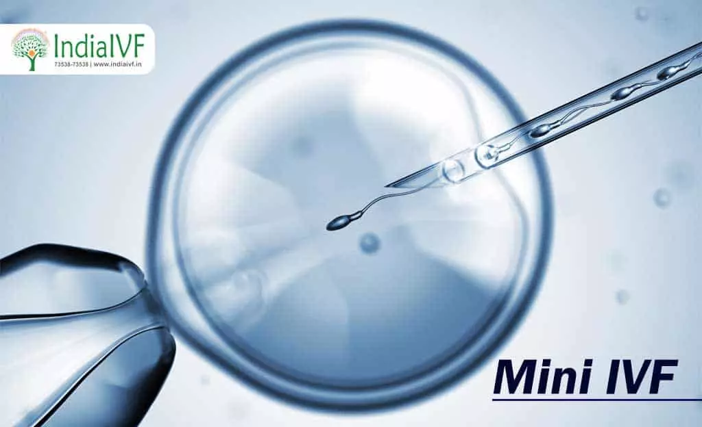 Mini-IVF