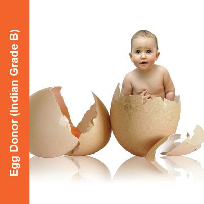 Egg-Donor-Indian-Grade-B