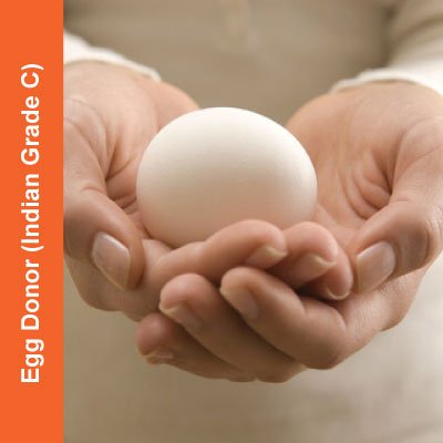 Egg-Donor-Indian-Grade-C