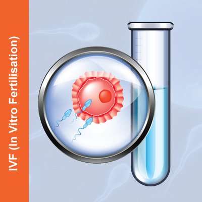 IVF-In-Vitro-Fertilisation