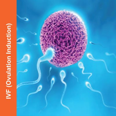 IVF-(Ovulation-Induction)
